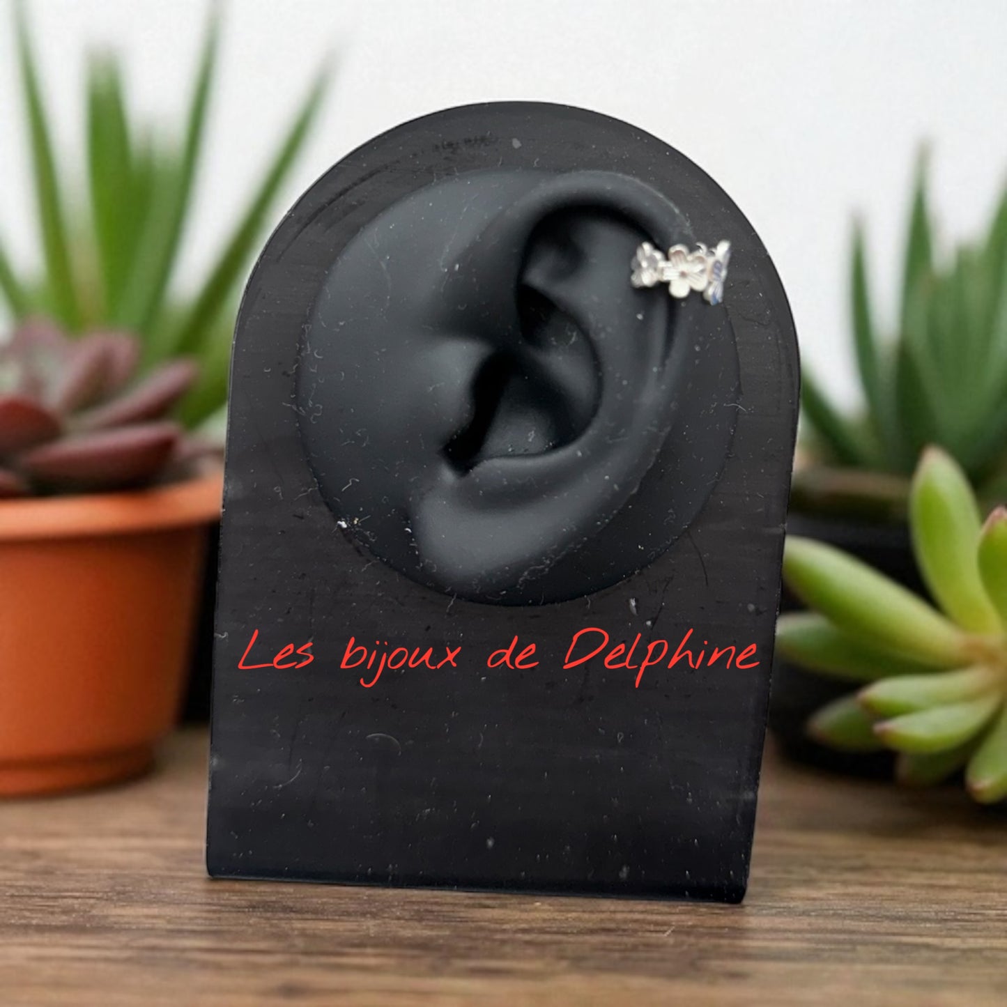 Boucles de cartilage