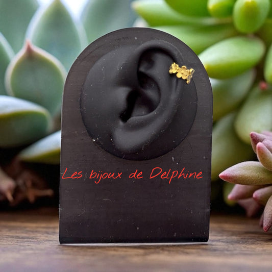 Boucles de cartilage