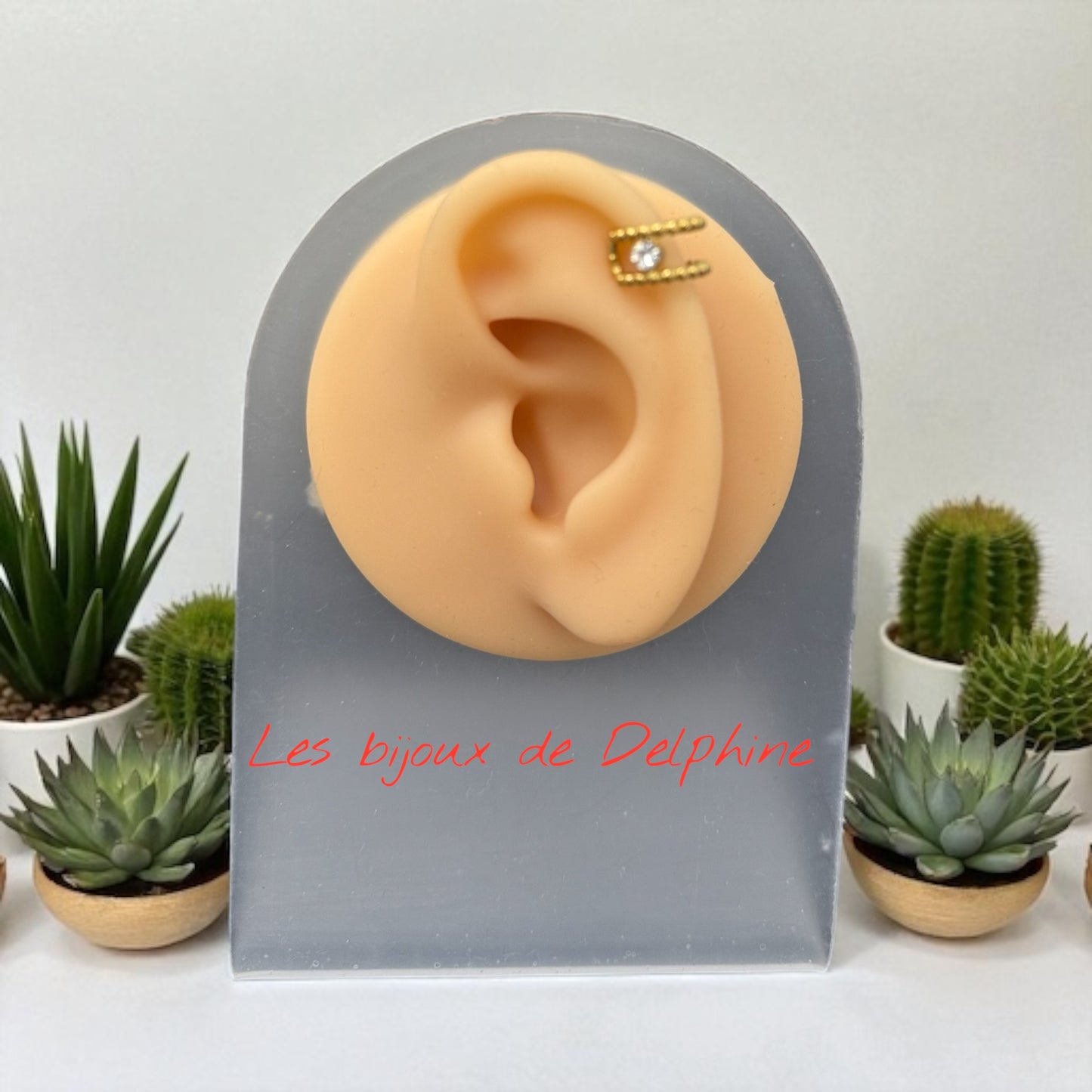 Boucle de cartilage